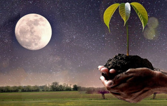 Фото: Сеем по луне: календарь садовода-огородника на 2024 год