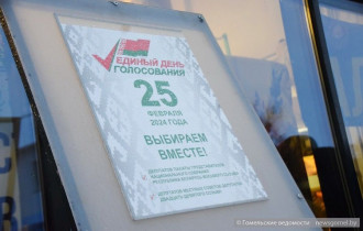 Фото: Снег и ветер не помеха агитационной борьбе. Жителей Советского района звали на выборы