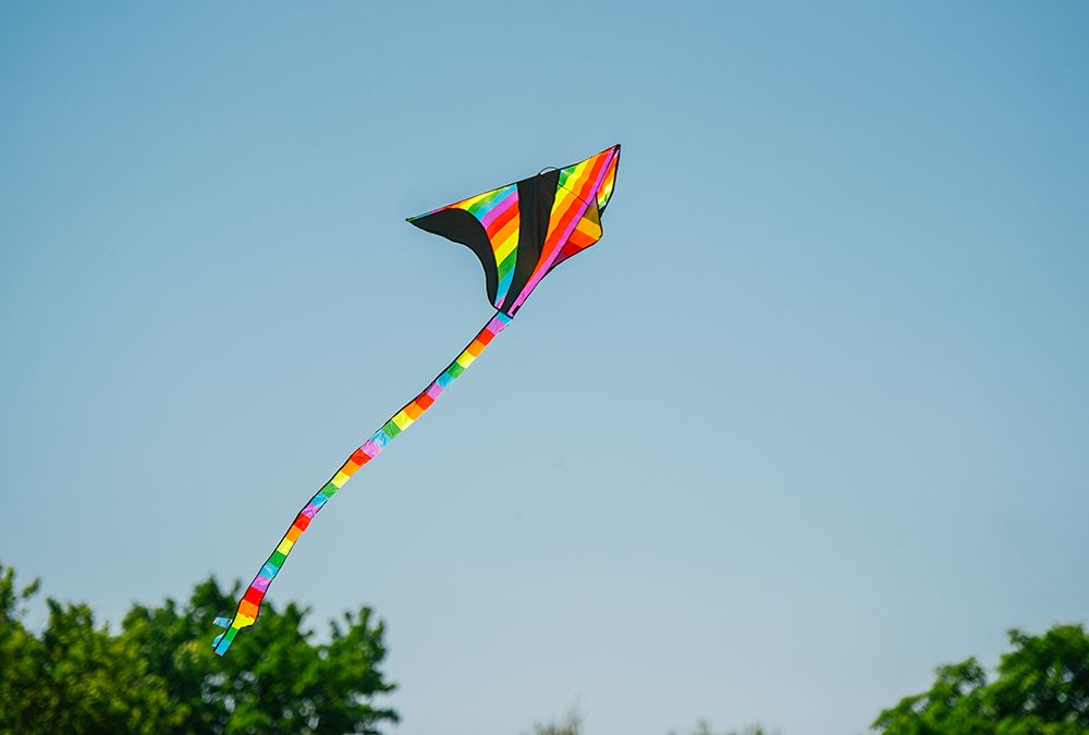 Фото: Фестиваль воздушных змеев украсил небо в Гомеле