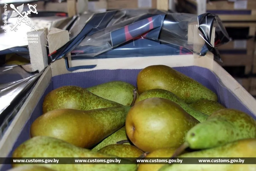 Фото: В Россию без документов пытались вывезти очередные 40 тонн груш