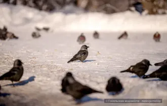 Фото: Облачно с прояснениями, без осадков: прогноз погоды на 4 марта и ближайшие дни