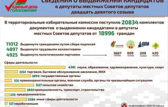 Фото: О выдвижении в местные Советы депутатов двадцать девятого созыва.