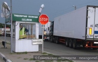 Фото: Сотрудники Гомельской таможни изъяли "бесхозный" груз на Br634 млн