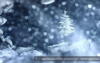 Фото: Снежный покров в Беларуси установится уже в воскресенье