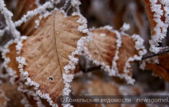 Фото: В Беларуси на выходных похолодает