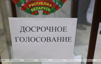 Фото: Представитель ЦИК Беларуси: досрочное голосование на референдуме прошло спокойно и штатно
