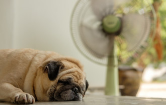 Фото: Как спать в жаркую погоду, если у вас нет кондиционера