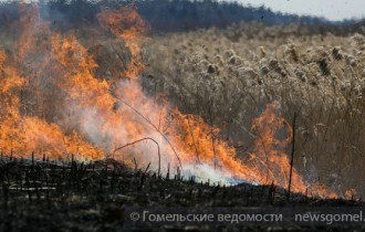 Фото: В области из-за возгорания торфяников повреждено около 100 га