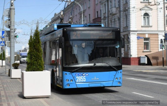 Фото: В Гомеле троллейбусы стоят. Узнали, где и почему
