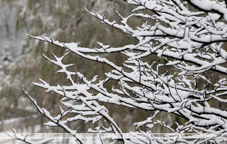 Фото: Снегопад и до +2°С прогнозируют в Беларуси 9 декабря