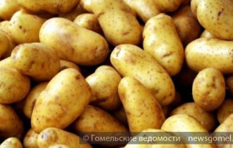 Фото: Объёмы стабилизационного фонда сельхозпродукции определены