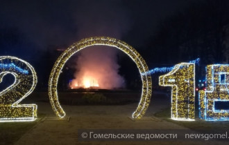Фото: В Гомеле в новогоднюю ночь сгорели две ёлки. Подробности