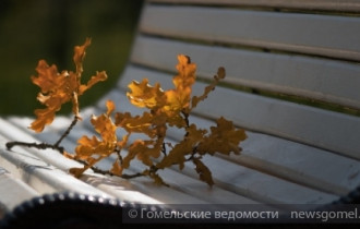 Фото: На выходных в Беларуси будет тепло