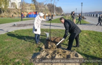 Фото: Мэр Гомеля принял участие в высадке деревьев на новой набережной 