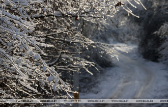 Фото: Снег и гололедицу прогнозируют синоптики в Беларуси 4 декабря