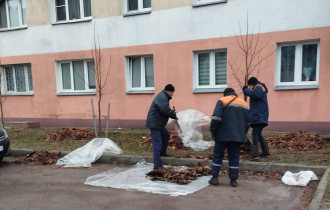 Фото: Убирают листву, вывозят мусор: в Железнодорожном районе проходит чистый четверг