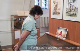 Фото: Открылась мини-выставка «Эпоха гигантов: находки мегалоцероса в Гомеле»