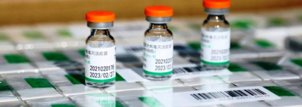 Сегодня в медучреждения Гомеля поступит китайская вакцина