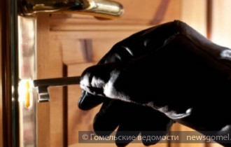 Фото: С начала года в Гомеле зарегистрировано около 500 краж