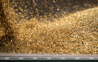 Фото: Ливанский покупатель отказался от зерна с сухогруза Razoni из Одессы