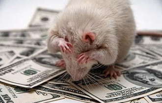 Фото: В Индии мыши сгрызли в банкомате более 17 тысяч долларов