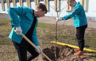 Фото: Молодежь Гомеля проявила активность на "Неделе леса"