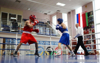 Фото: В Гомеле завершился турнир по боксу, посвящённый памяти Алексея Юкова