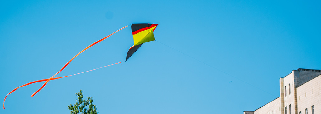 Фестиваль воздушных змеев украсил небо в Гомеле