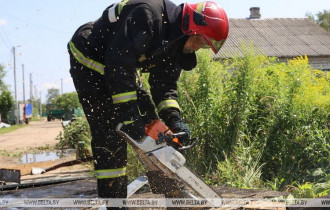 Фото: Александр Лукашенко подписал распоряжение об устранении последствий стихии