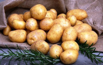 Фото: Названа серьезная опасность картофеля