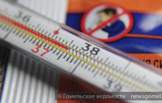 Фото: Заболеваемость ОРИ в Беларуси к концу января может увеличиться