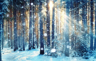 Фото: Температурные качели: каким будет декабрь, рассказали синоптики