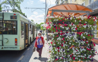 Фото: ФОТОФАКТ: на проспекте Победы остановки украсили петунии