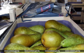 Фото: В Россию без документов пытались вывезти очередные 40 тонн груш