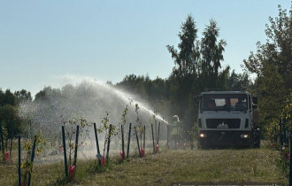 Фото: Средняя школа Nº74 поддержала акцию «Полей дерево - спаси ему жизнь»