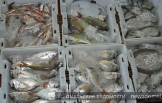 Фото: Больше всего в марте в Беларуси подорожали растительное масло и морепродукты