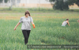 Фото: Гомельские школьники трудятся в сельскохозяйственном отряде