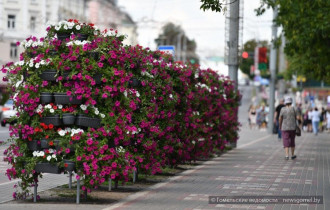 Фото: В Гомеле продолжается работа по цветочному оформлению улиц и скверов 