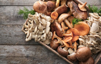 Фото: Как правильно собирать и готовить грибы, чтобы не отравиться
