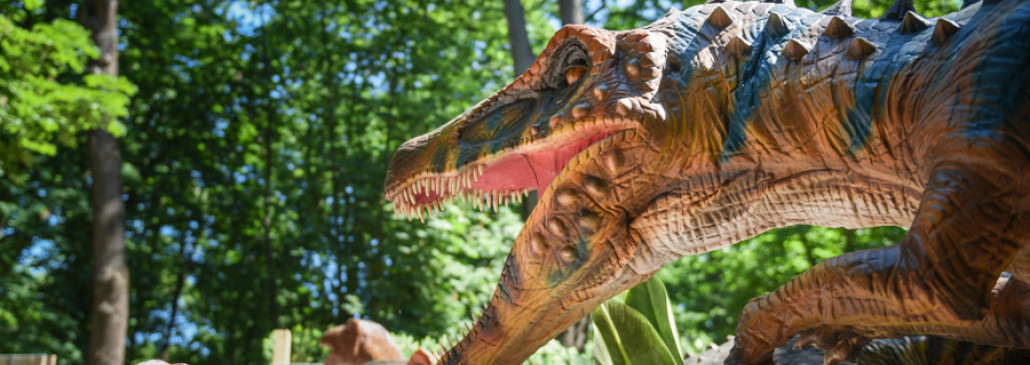 Динозавры ожили в Гомеле: уникальный парк на время поселился у аттракционов 
