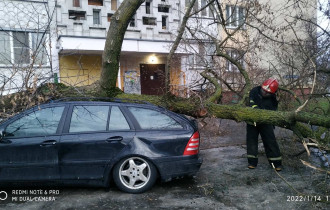 Фото: Поврежденные крыши, поваленные деревья: последствия непогоды в Гомельской области