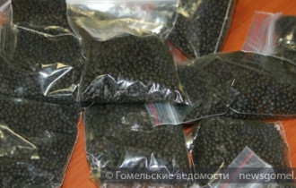 Фото: Оперативники наркоконтроля нашли у гомельчанина 12,5 килограмм насвая