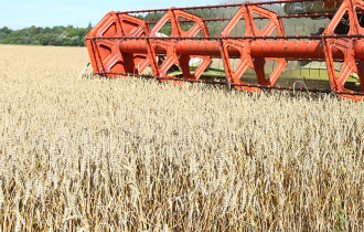Фото: Беларусь увеличила экспорт продовольствия на 25% - Заяц