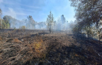 Фото: За прошедшие сутки на Гомельщине ликвидированы лесной и торфяной пожары