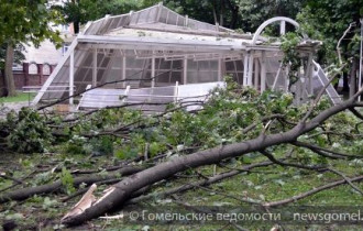 Фото: Последствия урагана в Гомеле