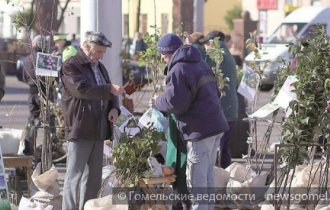 Фото: Ярмарки выходного дня по продаже сельхозпродукции в Гомеле
