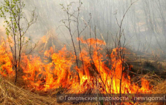 Фото: В Гомельской области остается напряженной ситуация с выжиганием сухой травы