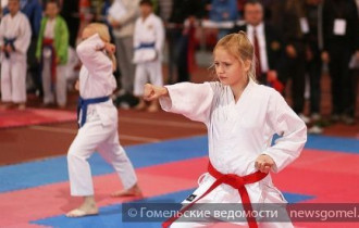 Фото: Международный турнир по каратэ «GOMEL OPEN CUP 2014»