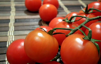Фото: уДАЧНЫЕ сотки: от чего зависит вкус томатов