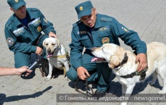 Фото: День пожарной службы прошёл у Ледового дворца